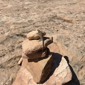 Meet your Posher, Carin